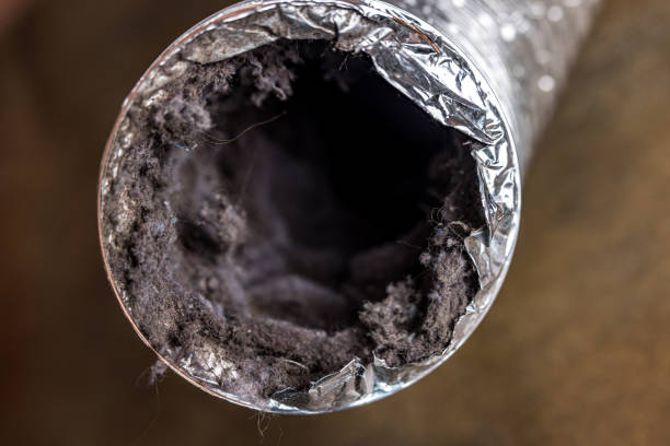 Best Air Duct Cleaning Near Me  in West Pleasant View, CO